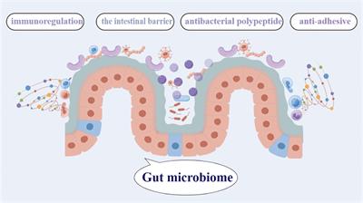 The traditional Chinese medicine and non-small cell lung cancer: from a gut microbiome perspective